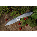 Ніж складаний туристичний Ruike P135-SF, (9.2 см) 14C28N / steel 420 сірий