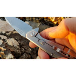 Ніж складаний туристичний Ruike P135-SF, (9.2 см) 14C28N / steel 420 сірий