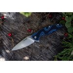 Ніж складаний туристичний Ruike Fang P105-Q, (9.2 см) 14C28N / G10 синій