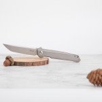 Ніж складаний туристичний Ruike M126-TZ, (9.1 см) steel 154СМ / TC4 (титан) сірий