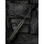 Ніж складаний Weknife Quinseris WE23093-2